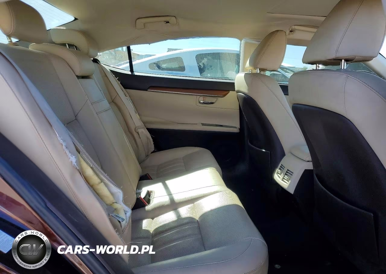 2018 Lexus Es 300H VIN:JTHBW1GG8J2188819 - 10