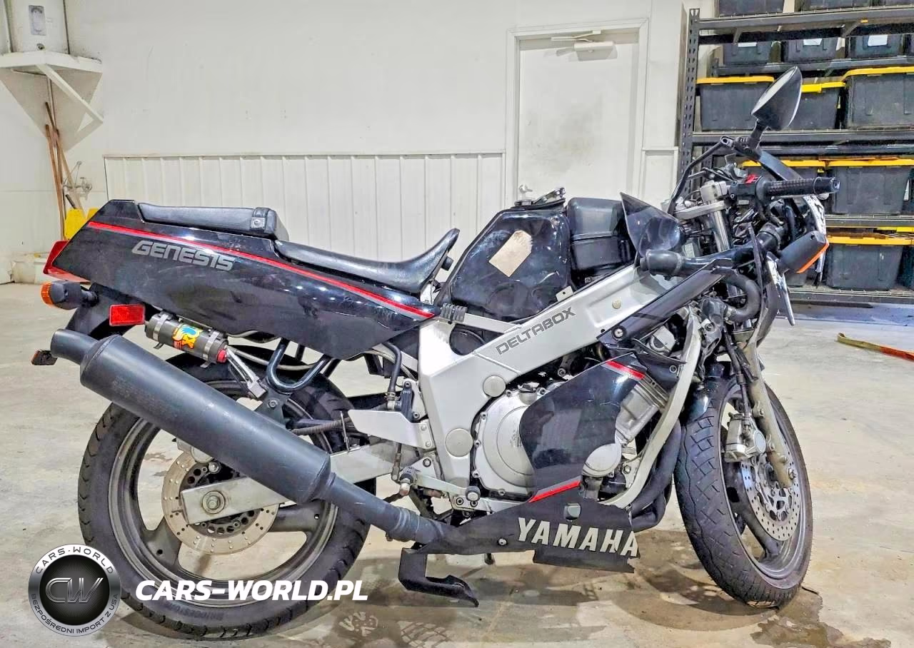 1989 Yamaha Fzr600 – zdjęcie 1 z 9