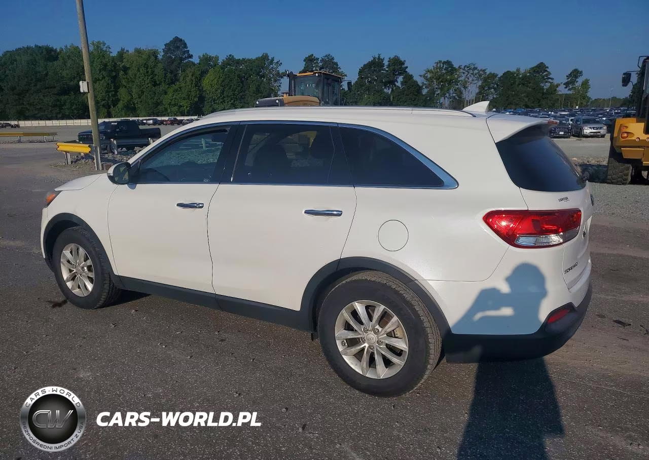 2016 Kia Sorento Lx VIN:5XYPG4A3XGG054498 - 2