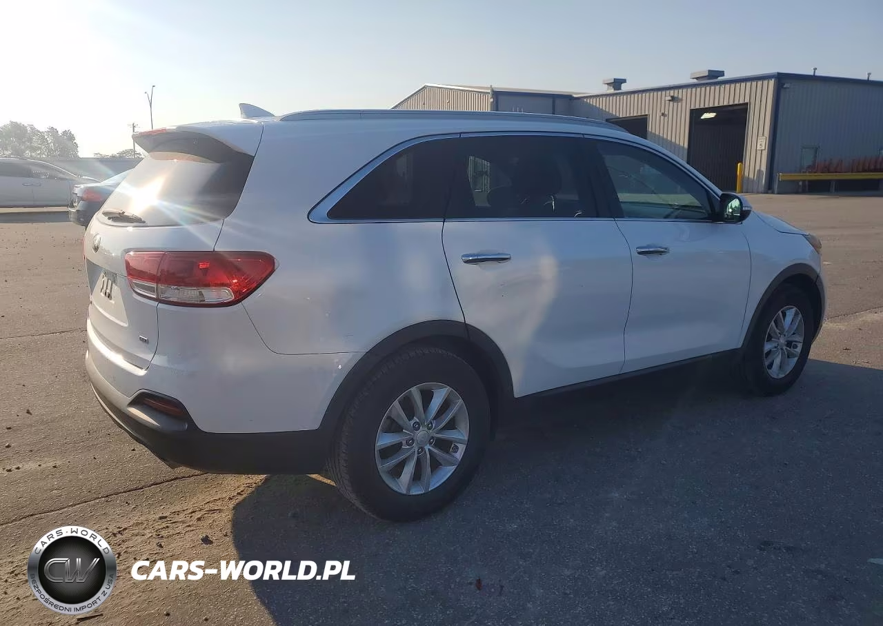 2016 Kia Sorento Lx VIN:5XYPG4A3XGG054498 - 3