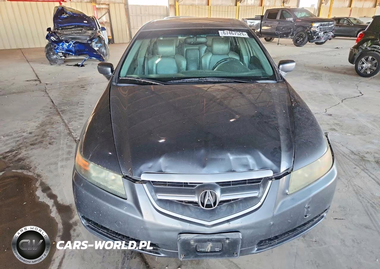 2006 Acura 3.2Tl VIN:19UUA66226A018496 - 5