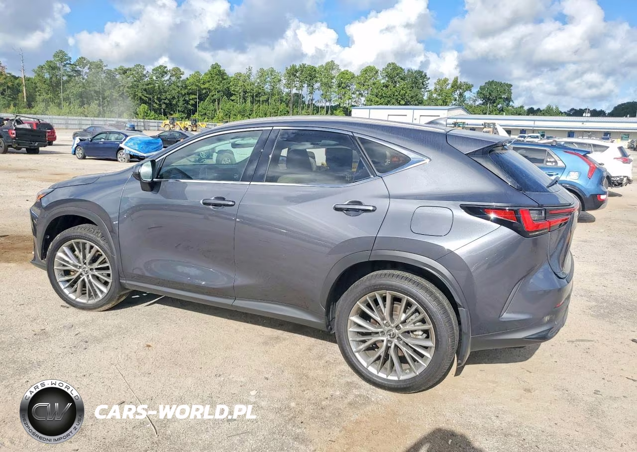 2023 Lexus Nx 350H VIN:JTJGKCEZ7P5006972 - 2