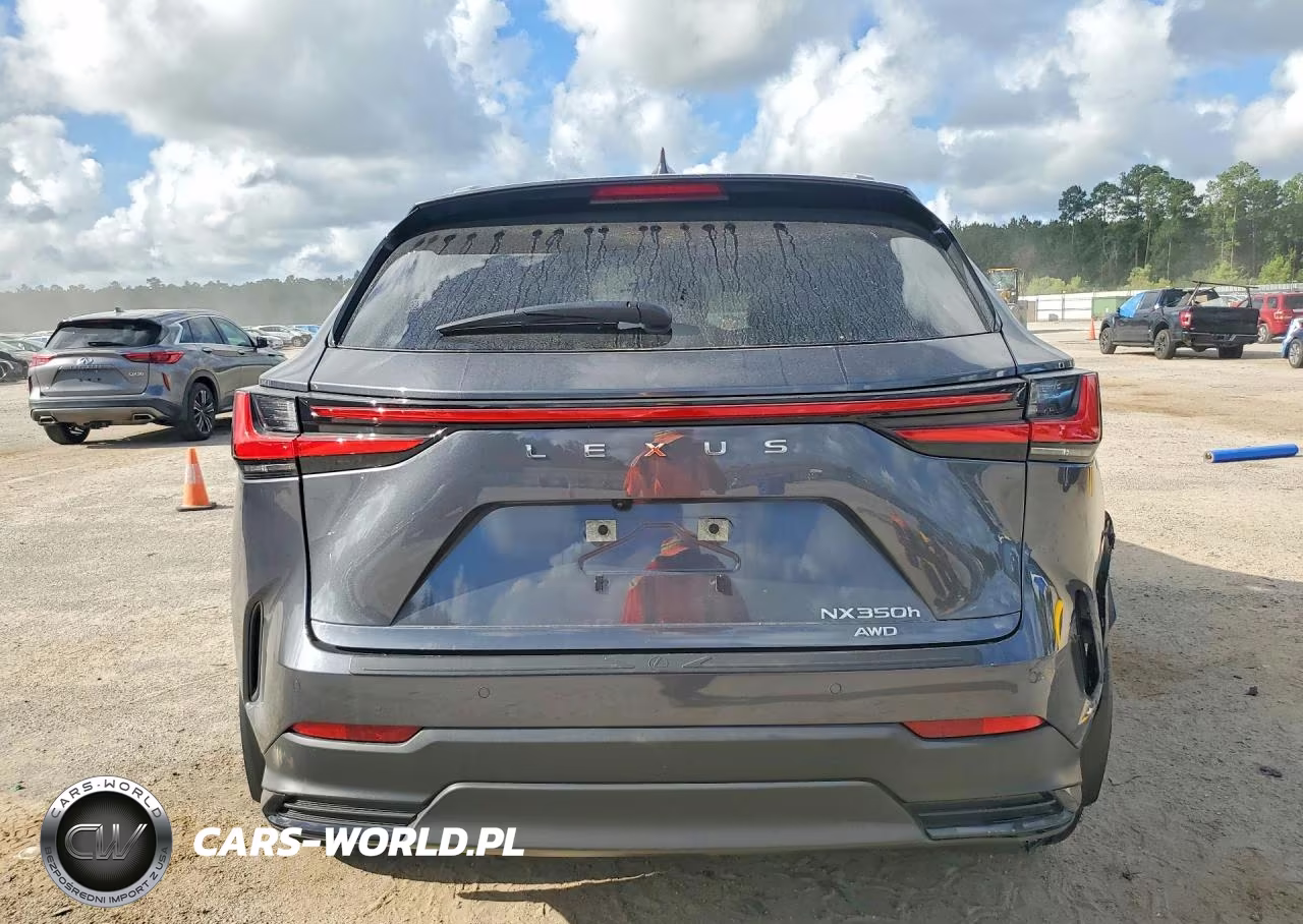 2023 Lexus Nx 350H VIN:JTJGKCEZ7P5006972 - 6