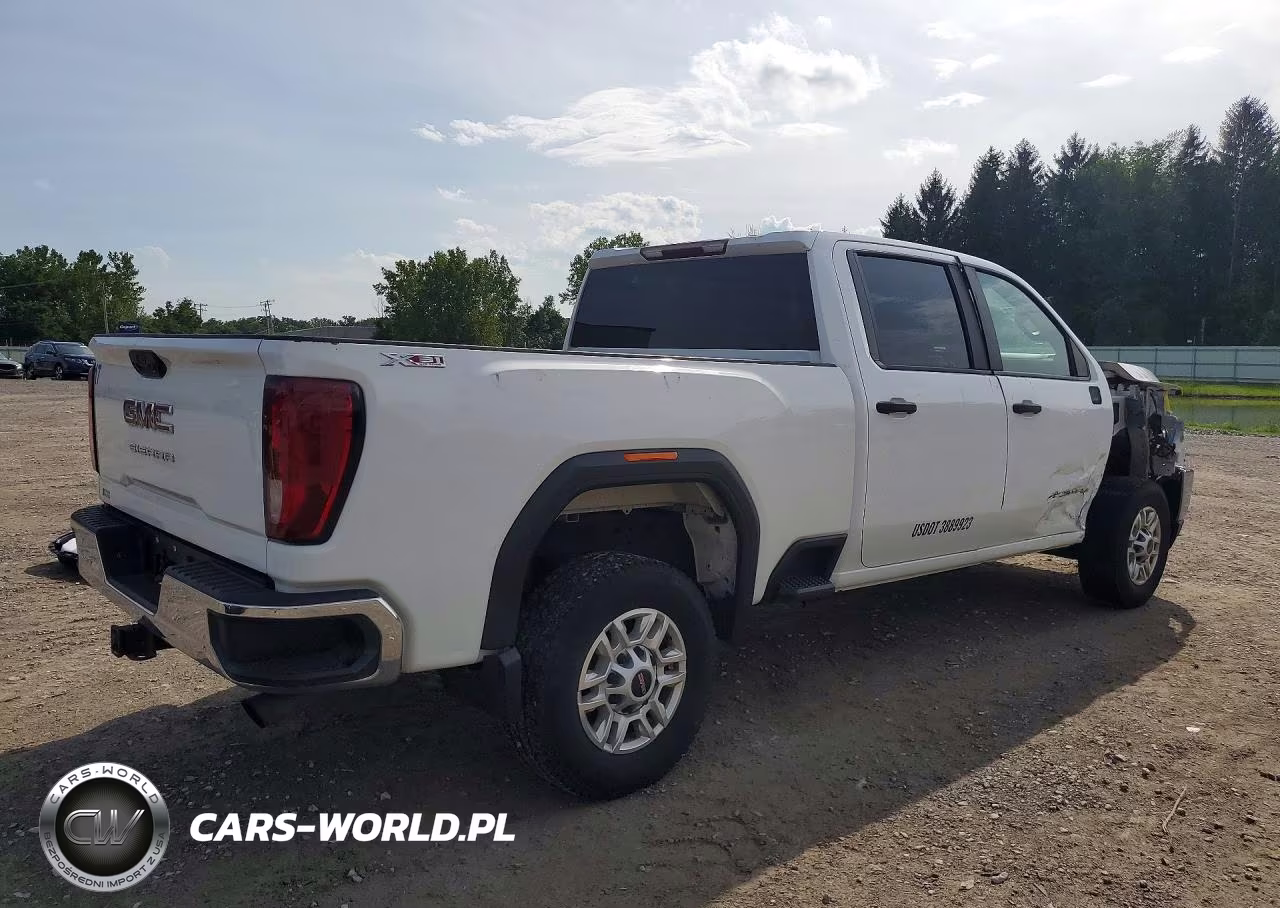 2020 GMC Sierra K2500 Heavy Duty VIN:1GT49LE71LF152059 - 3