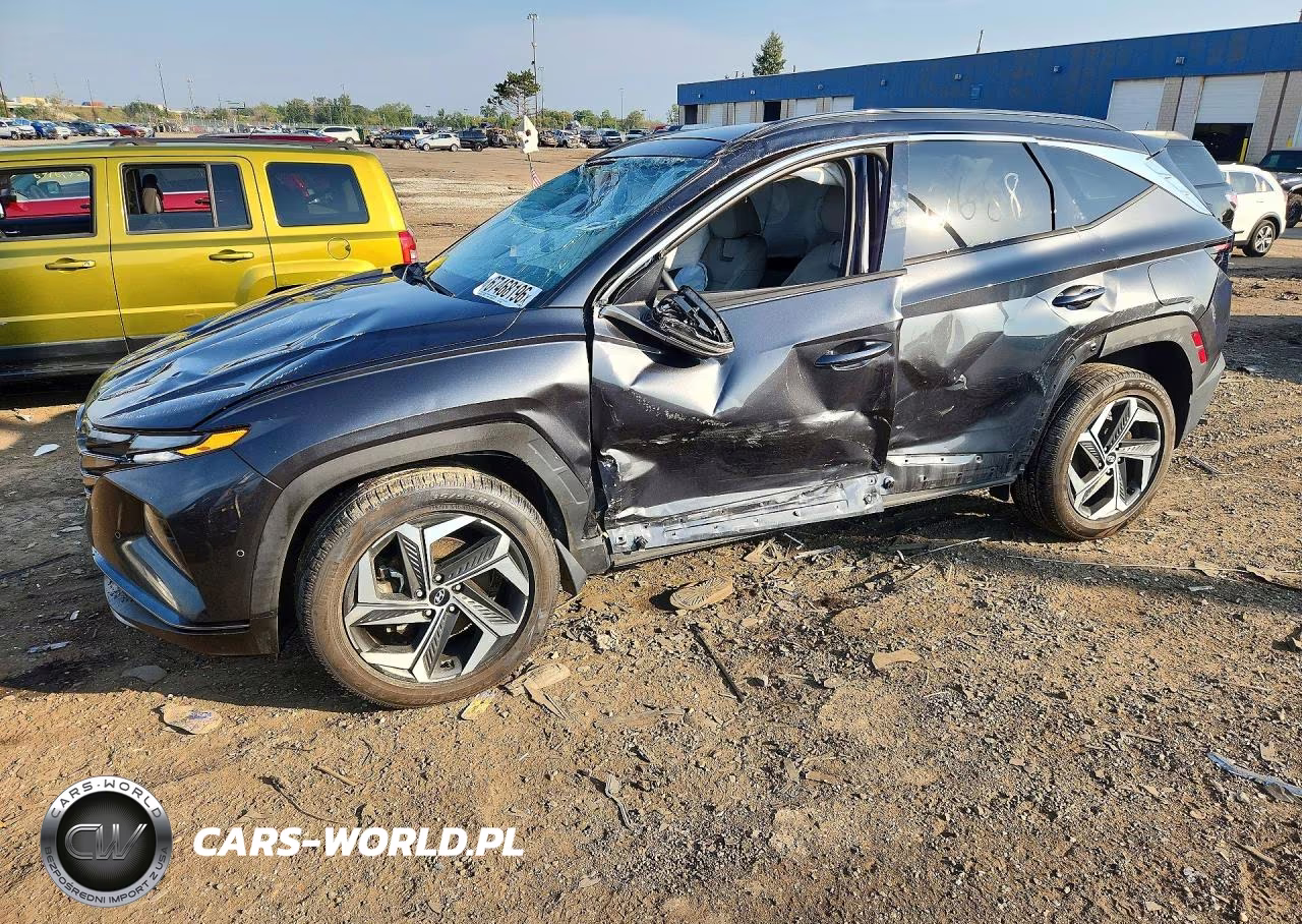 2023 Hyundai Tucson Limited VIN:5NMJECAE1PH230688 - 1