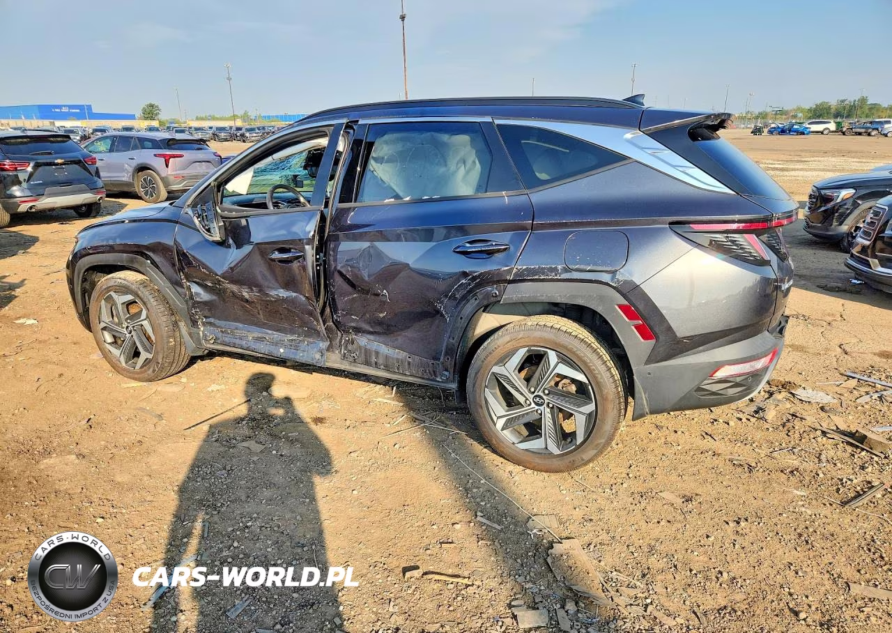 2023 Hyundai Tucson Limited VIN:5NMJECAE1PH230688 - 2