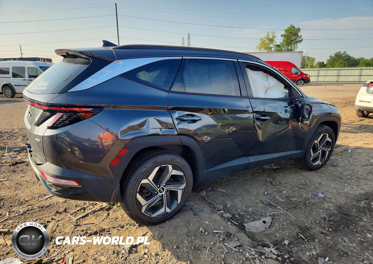 2023 Hyundai Tucson Limited VIN:5NMJECAE1PH230688 - 3