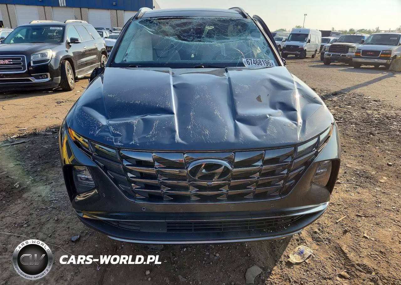 2023 Hyundai Tucson Limited VIN:5NMJECAE1PH230688 - 5