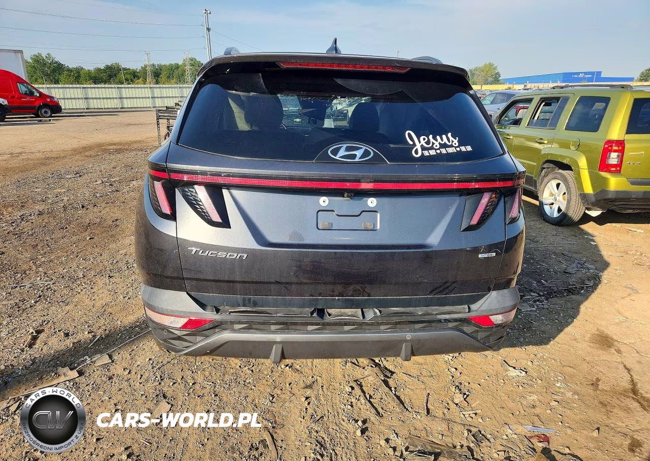 2023 Hyundai Tucson Limited VIN:5NMJECAE1PH230688 - 6