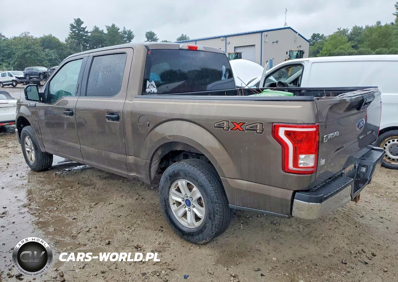 2015 Ford F150 Supercrew VIN:1FTEW1E81FFC89095 - 2