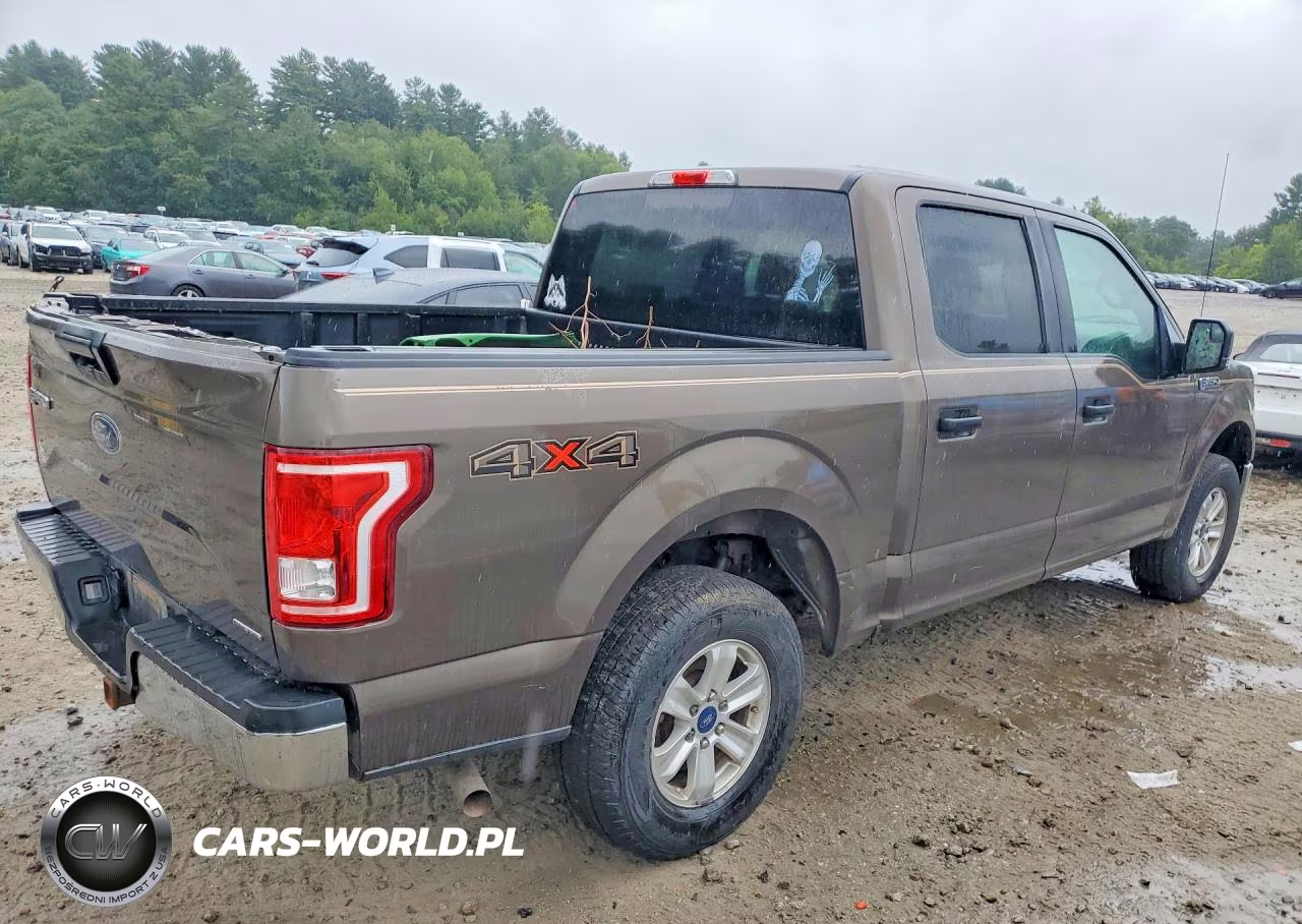 2015 Ford F150 Supercrew VIN:1FTEW1E81FFC89095 - 3