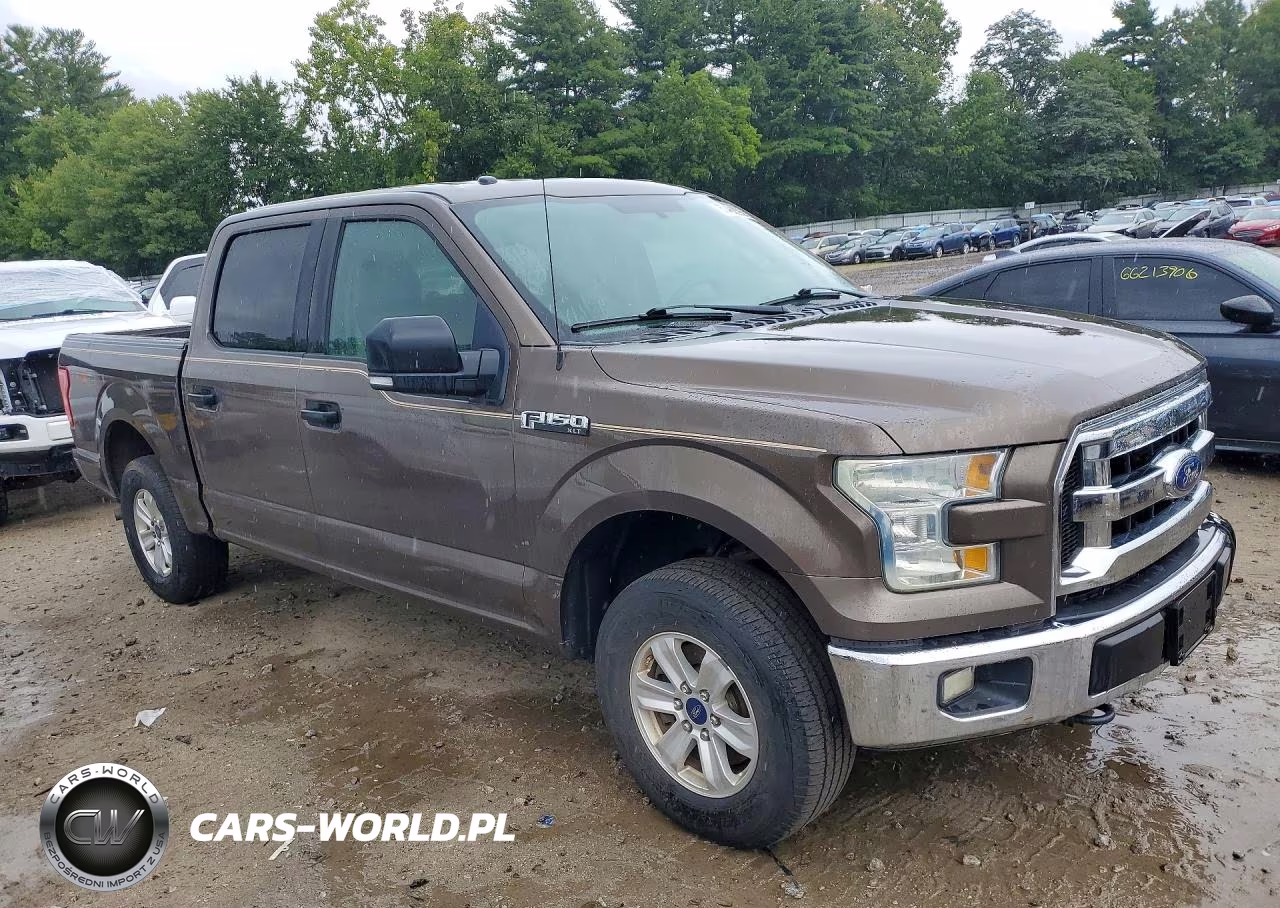 2015 Ford F150 Supercrew VIN:1FTEW1E81FFC89095 - 4