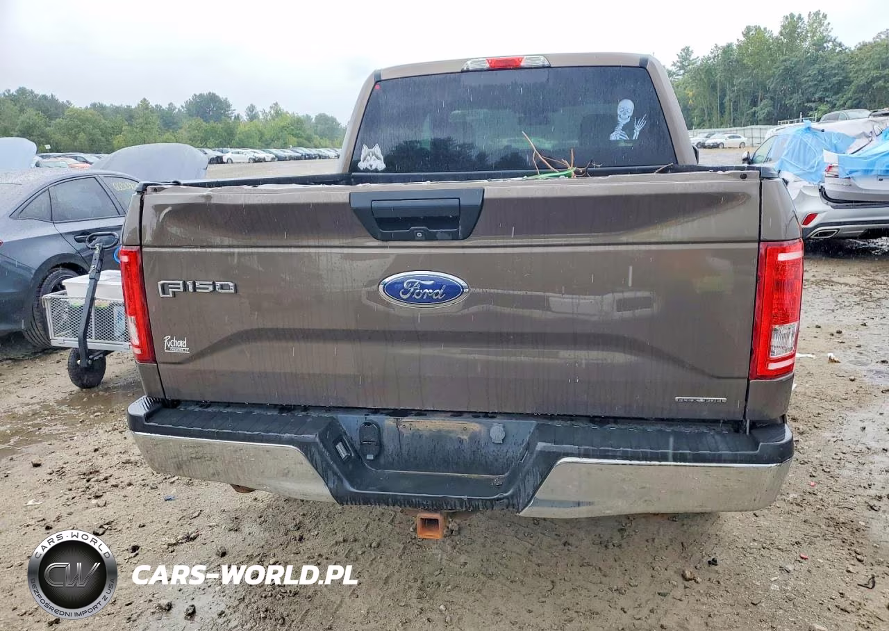 2015 Ford F150 Supercrew VIN:1FTEW1E81FFC89095 - 6