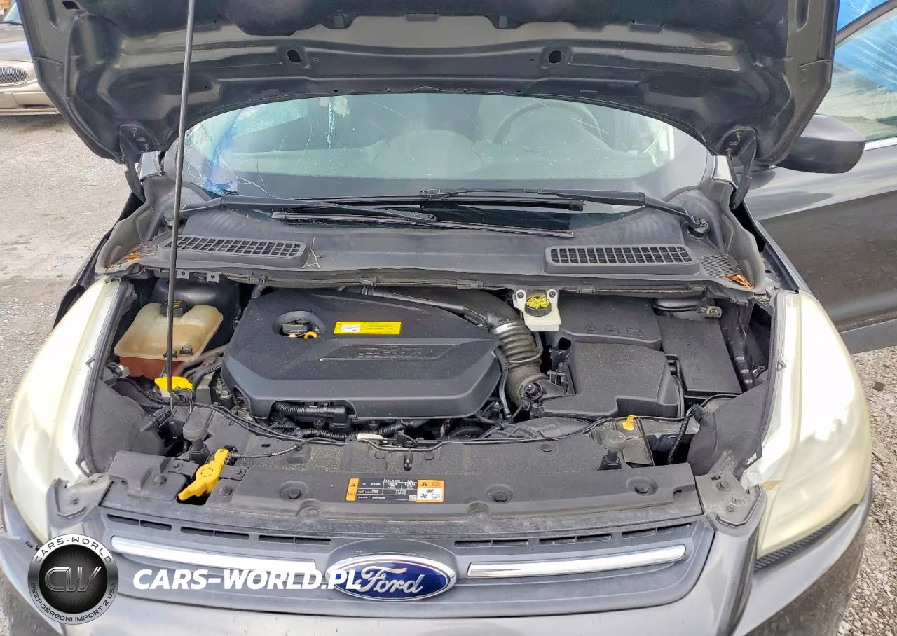 2016 Ford Escape Se VIN:1FMCU0GX8GUB31065 - 12