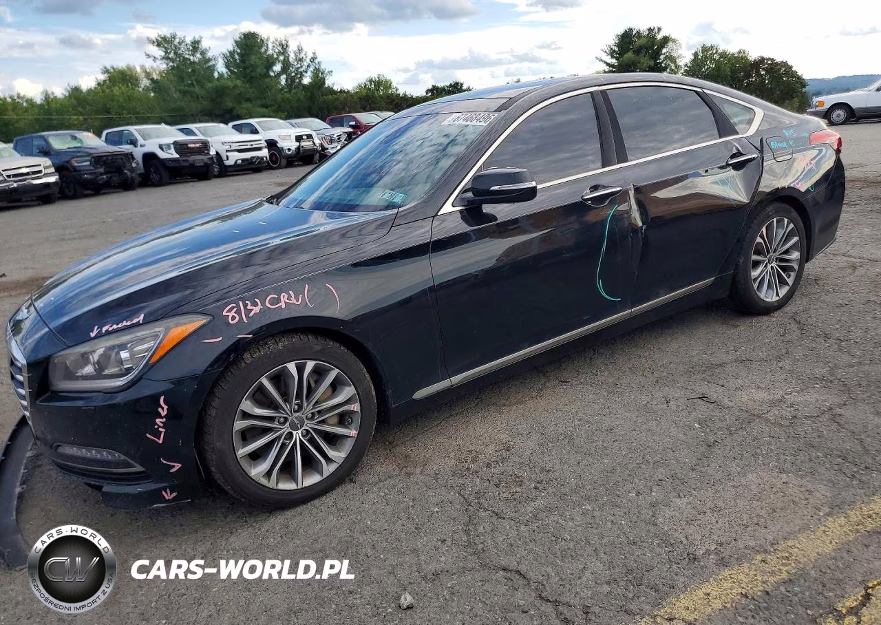 2016 Hyundai Genesis 3.8L VIN:KMHGN4JE1GU119420 - 1
