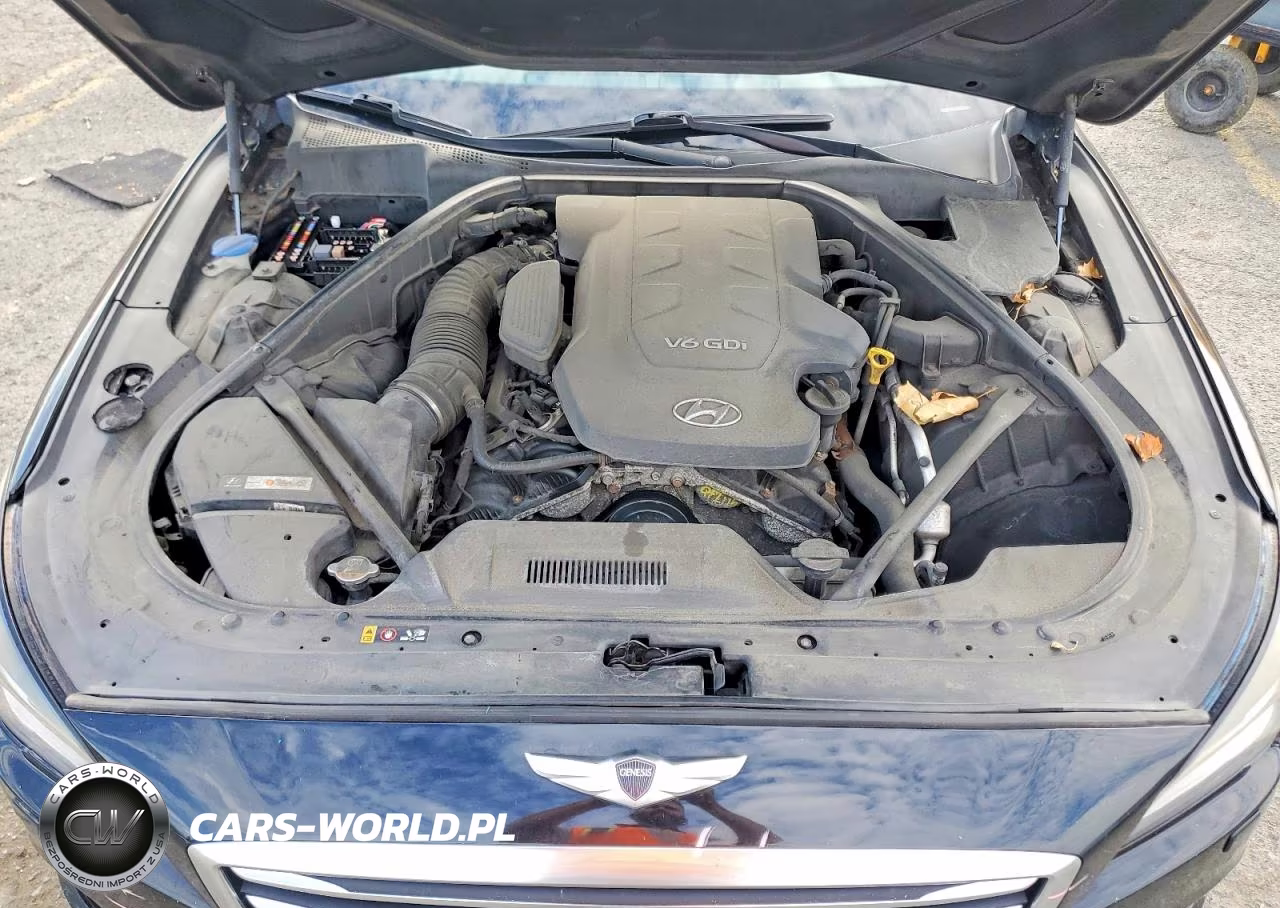 2016 Hyundai Genesis 3.8L VIN:KMHGN4JE1GU119420 - 11