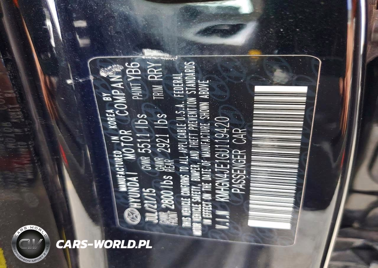2016 Hyundai Genesis 3.8L VIN:KMHGN4JE1GU119420 - 12