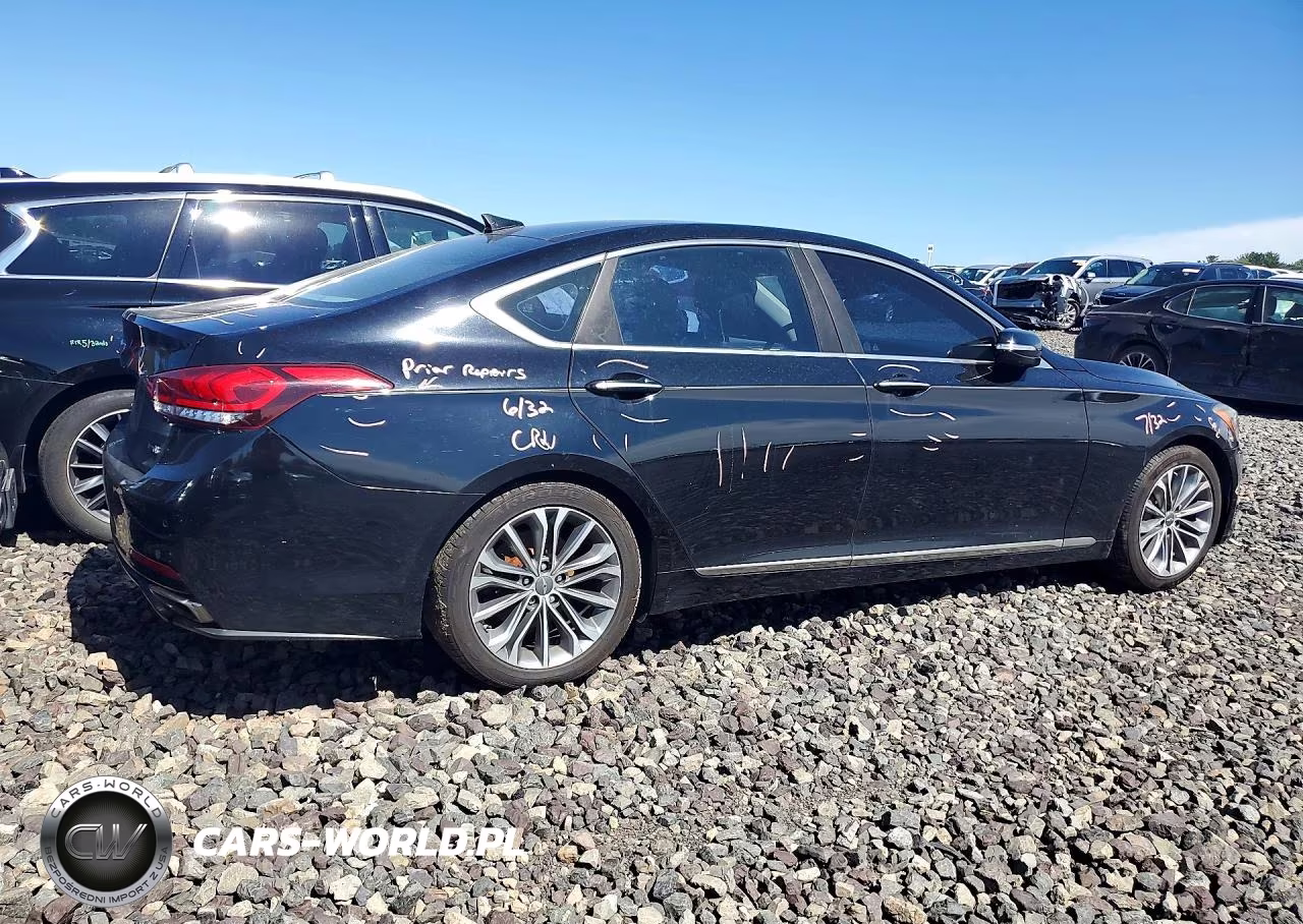 2016 Hyundai Genesis 3.8L VIN:KMHGN4JE1GU119420 - 3