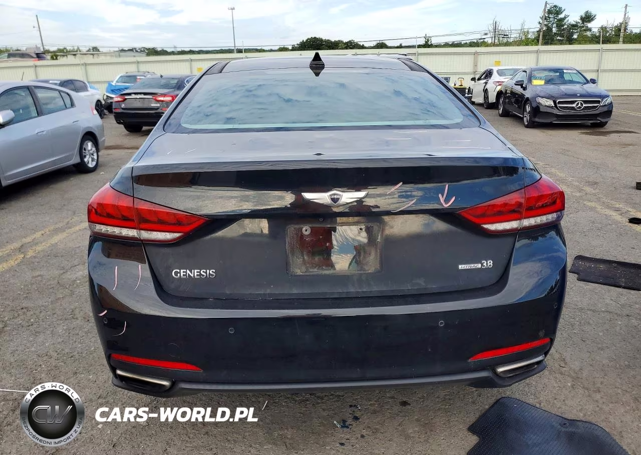 2016 Hyundai Genesis 3.8L VIN:KMHGN4JE1GU119420 - 6