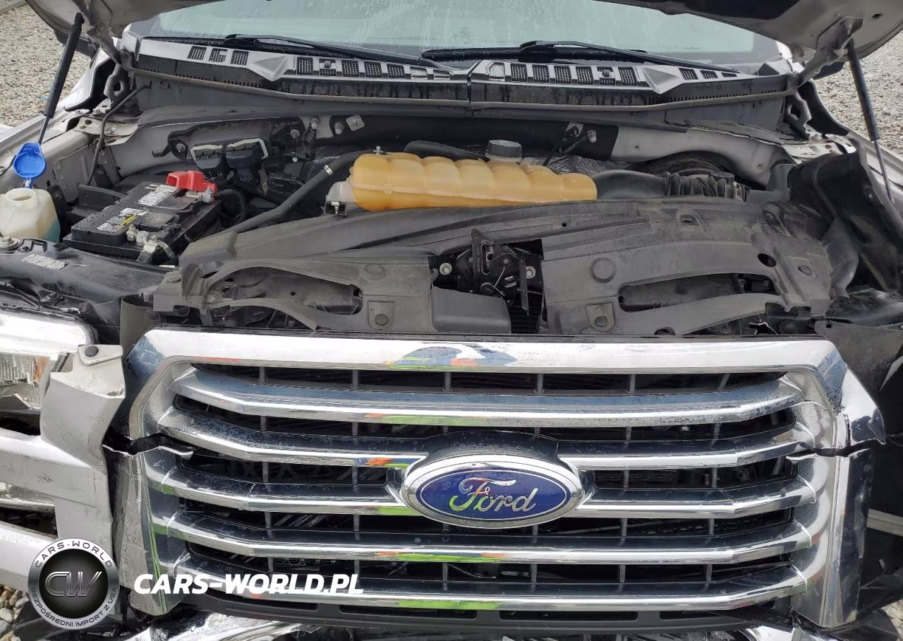 2016 Ford F150 Supercrew VIN:1FTEW1CP3GFC11655 - 11