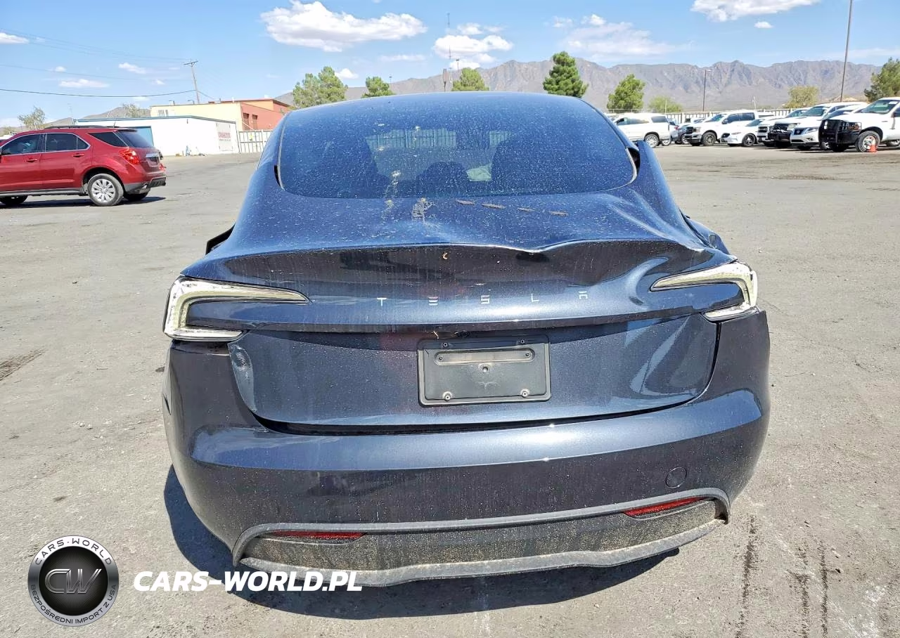 2025 Tesla Model 3 VIN:5YJ3E1EA1SF928166 - 6