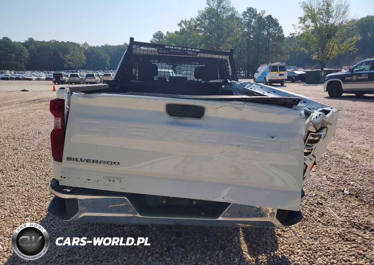2019 Chevrolet Silverado C1500 VIN:1GCRWAEH1KZ419046 - 6