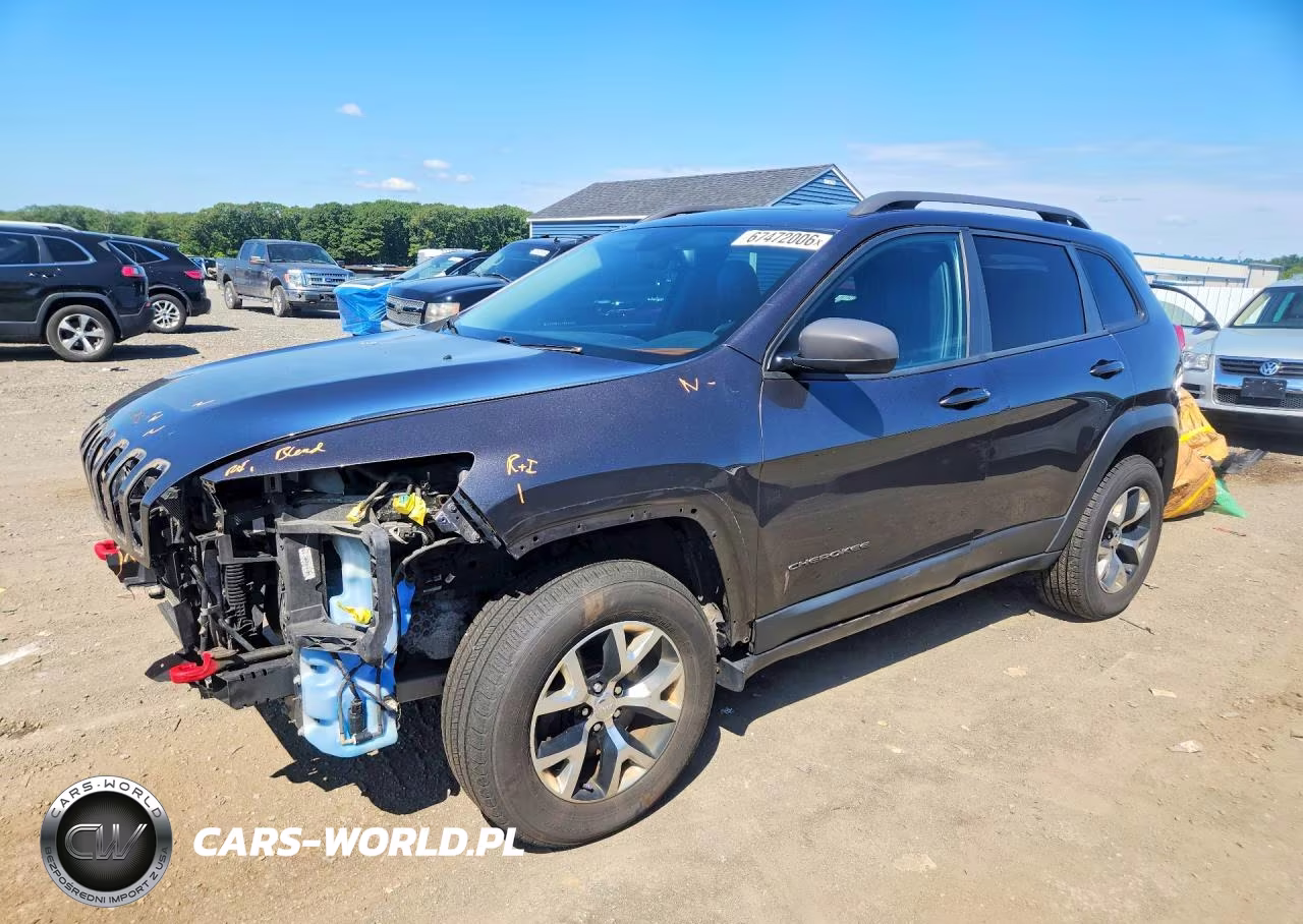 2016 Jeep Cherokee Trailhawk VIN:1C4PJMBSXGW215202 - 1