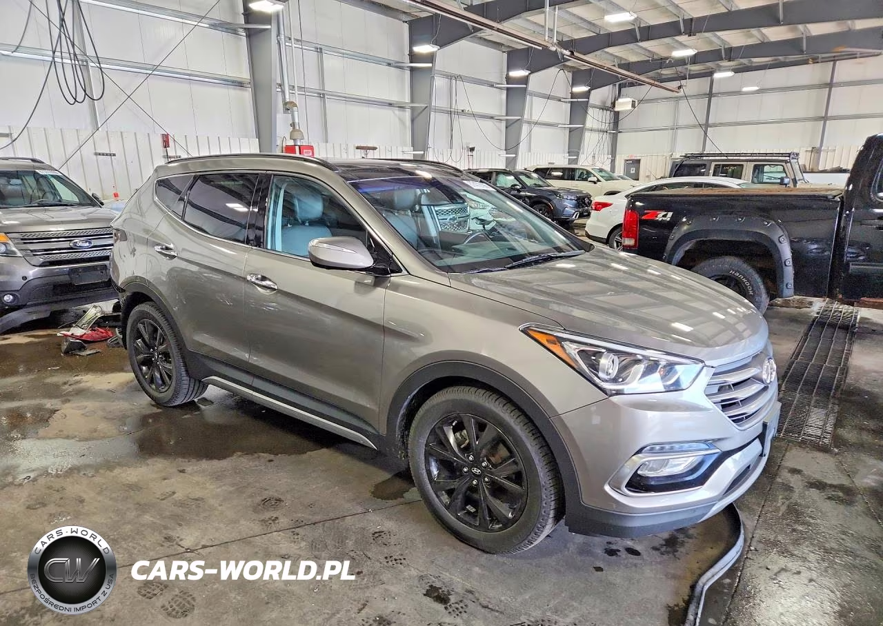 2017 Hyundai Santa Fe Sport 2.0T Ultimate VIN:5XYZWDLA8HG399439 - 4