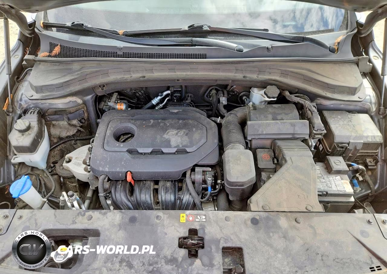 2019 Hyundai Santa Fe Limited 2.4L VIN:5NMS53AD6KH074880 - 12