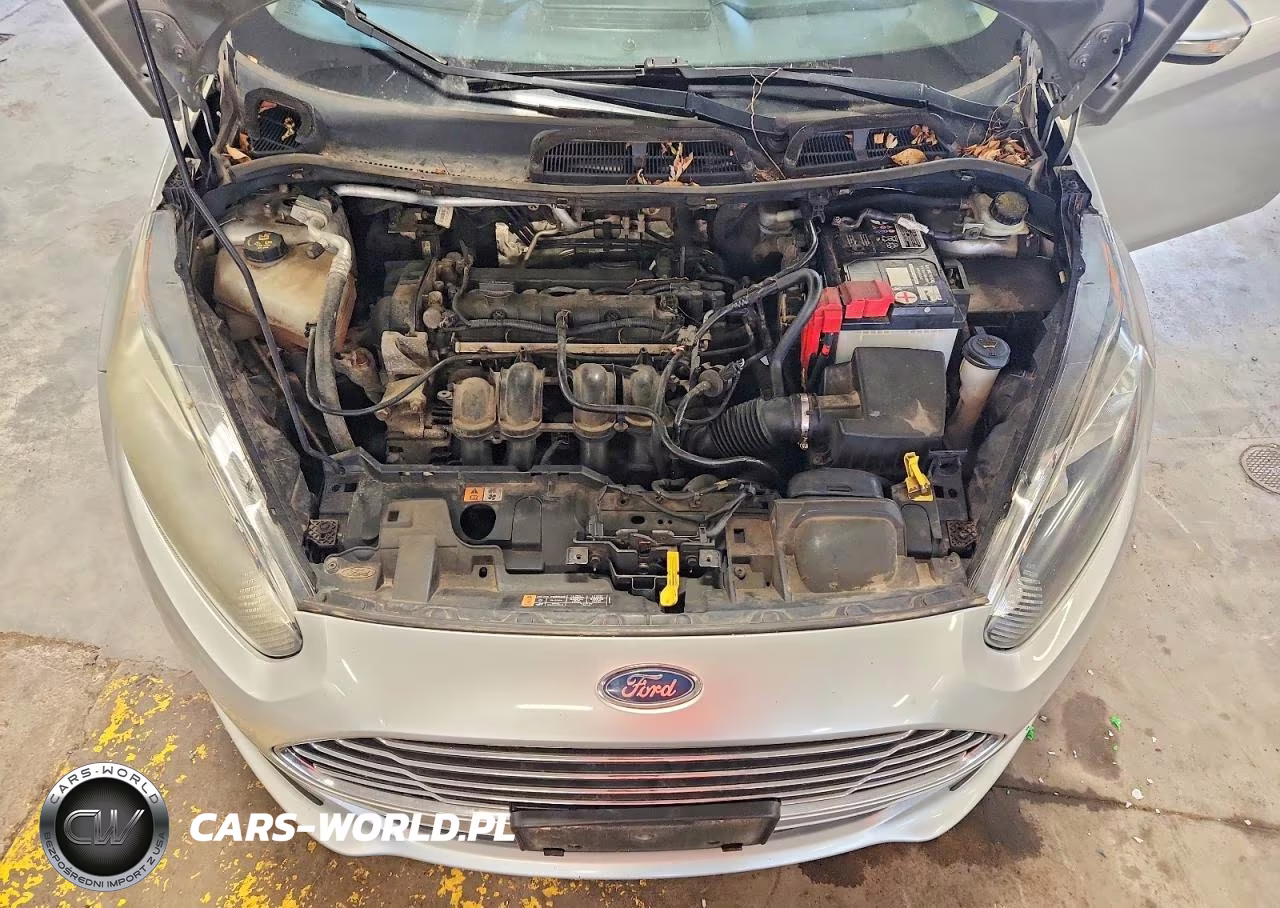 2014 Ford Fiesta Se VIN:3FADP4BJ9EM142545 - 11