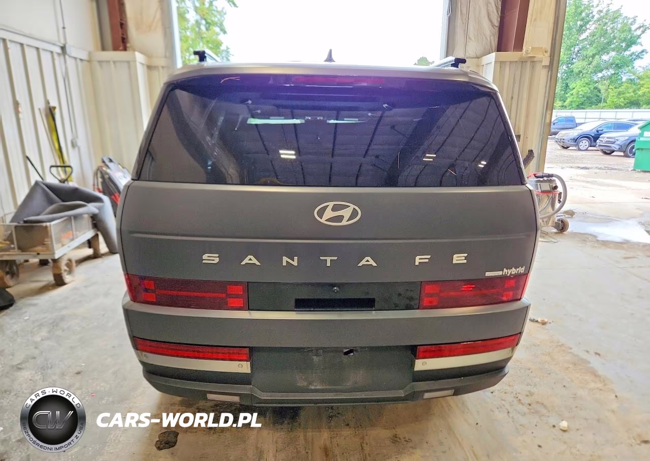 2024 Hyundai Santa Fe Limited VIN:5NMP3DG12RH017097 - 6