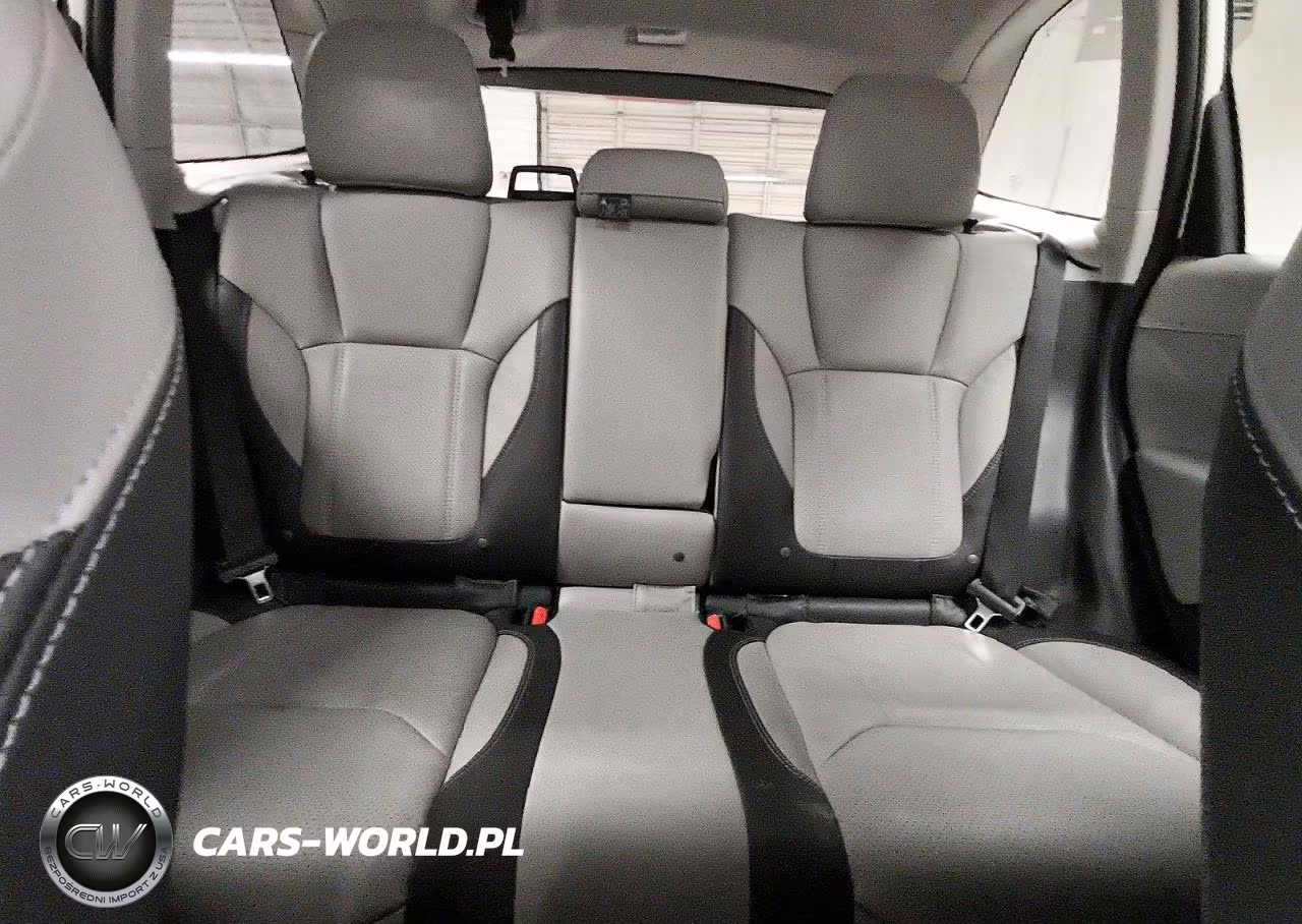 2019 Subaru Forester Limited VIN:JF2SKAUC3KH524827 - 10