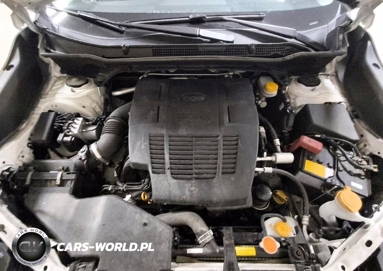 2019 Subaru Forester Limited VIN:JF2SKAUC3KH524827 - 12