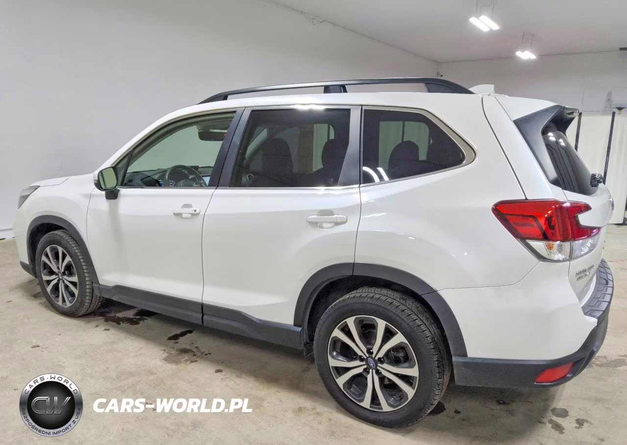 2019 Subaru Forester Limited VIN:JF2SKAUC3KH524827 - 2