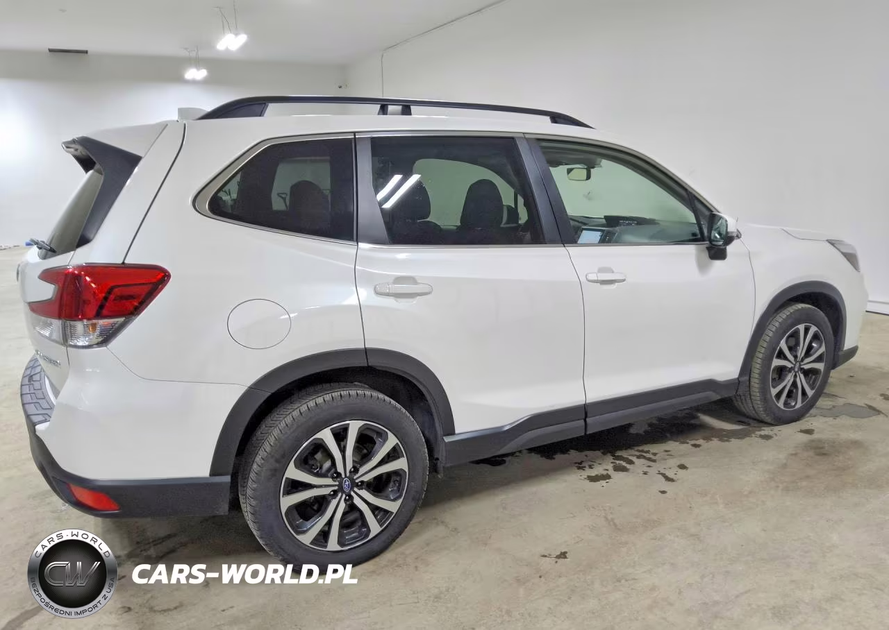 2019 Subaru Forester Limited VIN:JF2SKAUC3KH524827 - 3