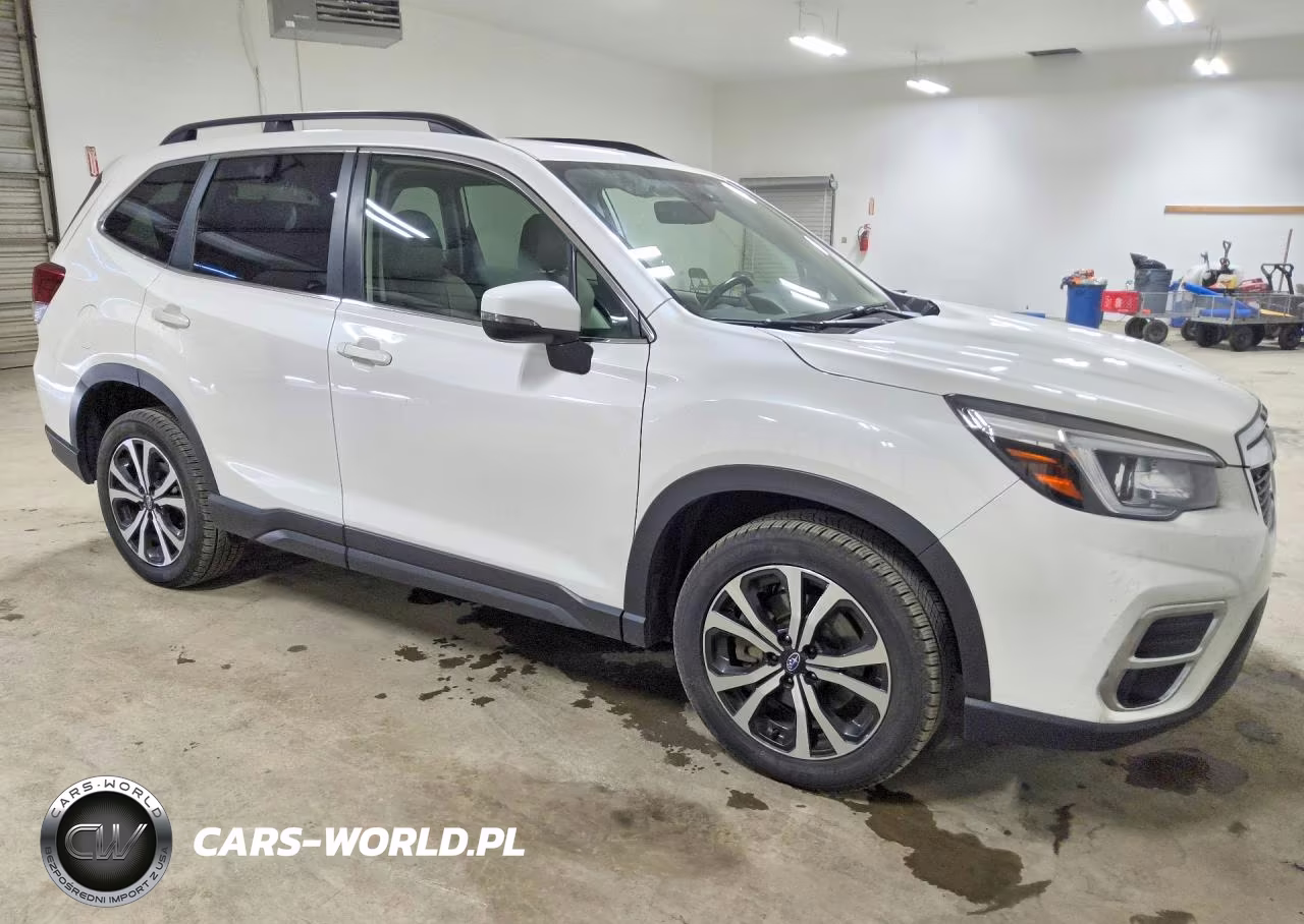 2019 Subaru Forester Limited VIN:JF2SKAUC3KH524827 - 4
