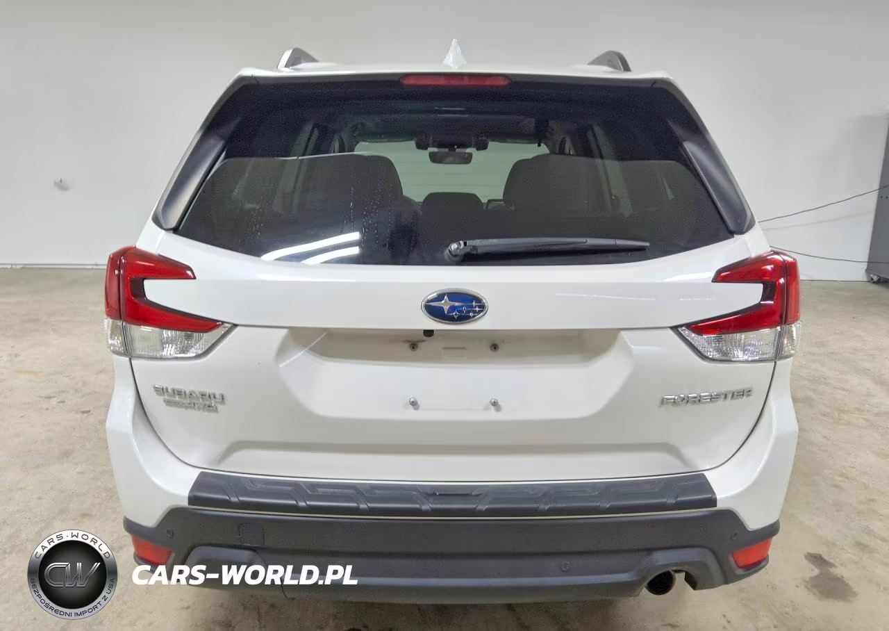2019 Subaru Forester Limited VIN:JF2SKAUC3KH524827 - 6