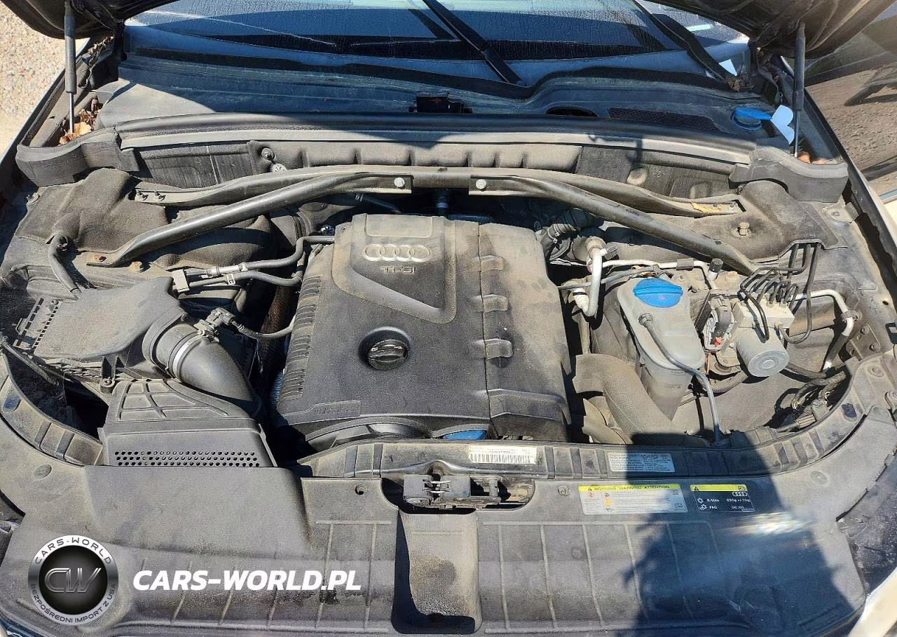 2013 Audi Q5 Premium Plus VIN:WA1LFAFP2DA044260 - 11
