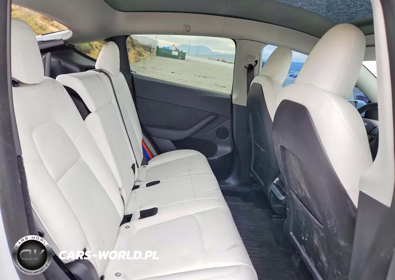 2023 Tesla Model Y VIN:7SAYGDEF4PF690045 - 10