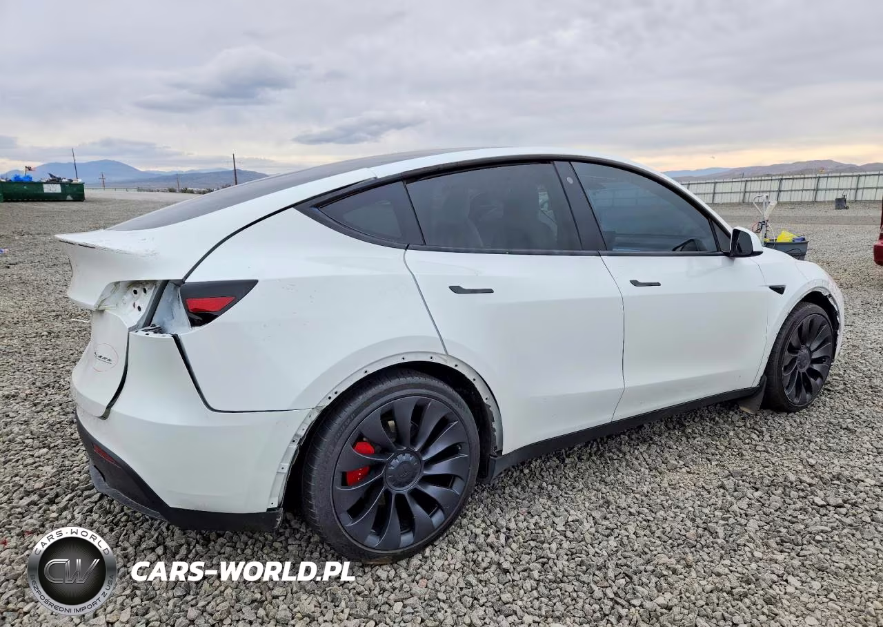 2023 Tesla Model Y VIN:7SAYGDEF4PF690045 - 3