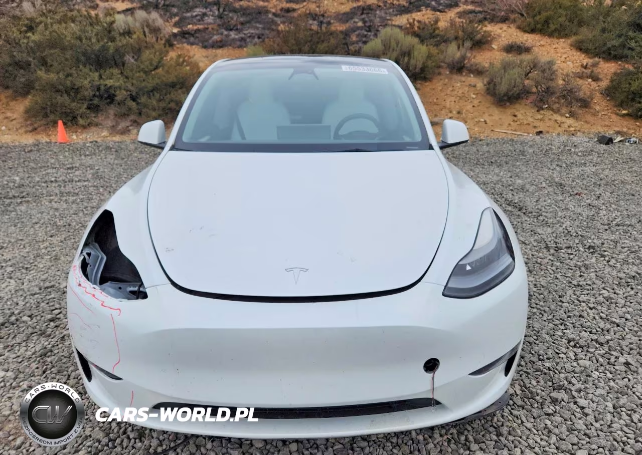 2023 Tesla Model Y VIN:7SAYGDEF4PF690045 - 5