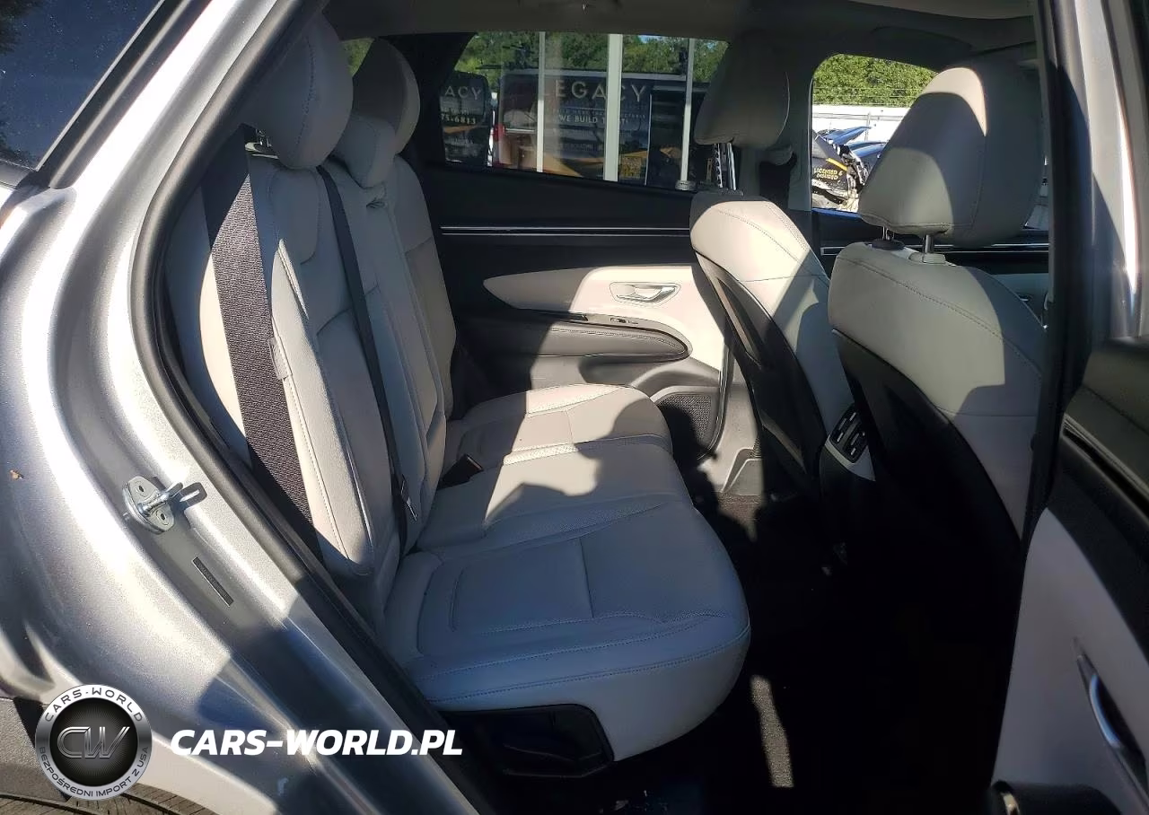 2024 Hyundai Tucson Limited VIN:5NMJECDE6RH300121 - 10