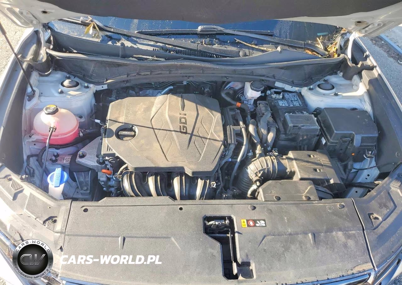 2024 Hyundai Tucson Limited VIN:5NMJECDE6RH300121 - 11