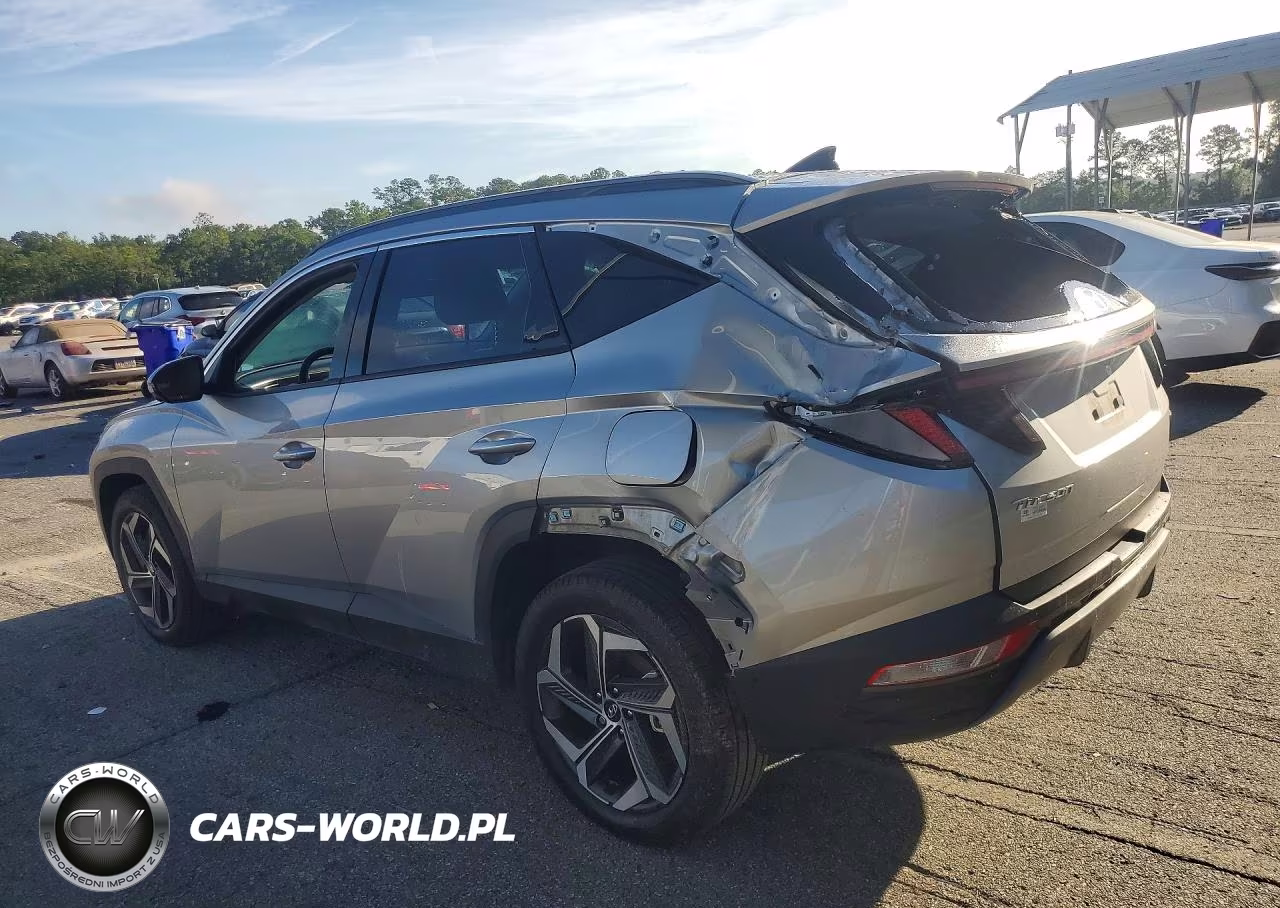 2024 Hyundai Tucson Limited VIN:5NMJECDE6RH300121 - 2