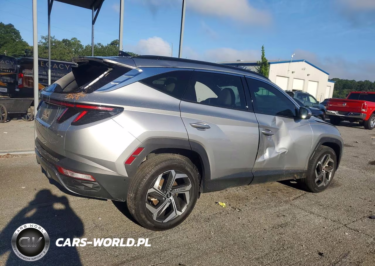 2024 Hyundai Tucson Limited VIN:5NMJECDE6RH300121 - 3