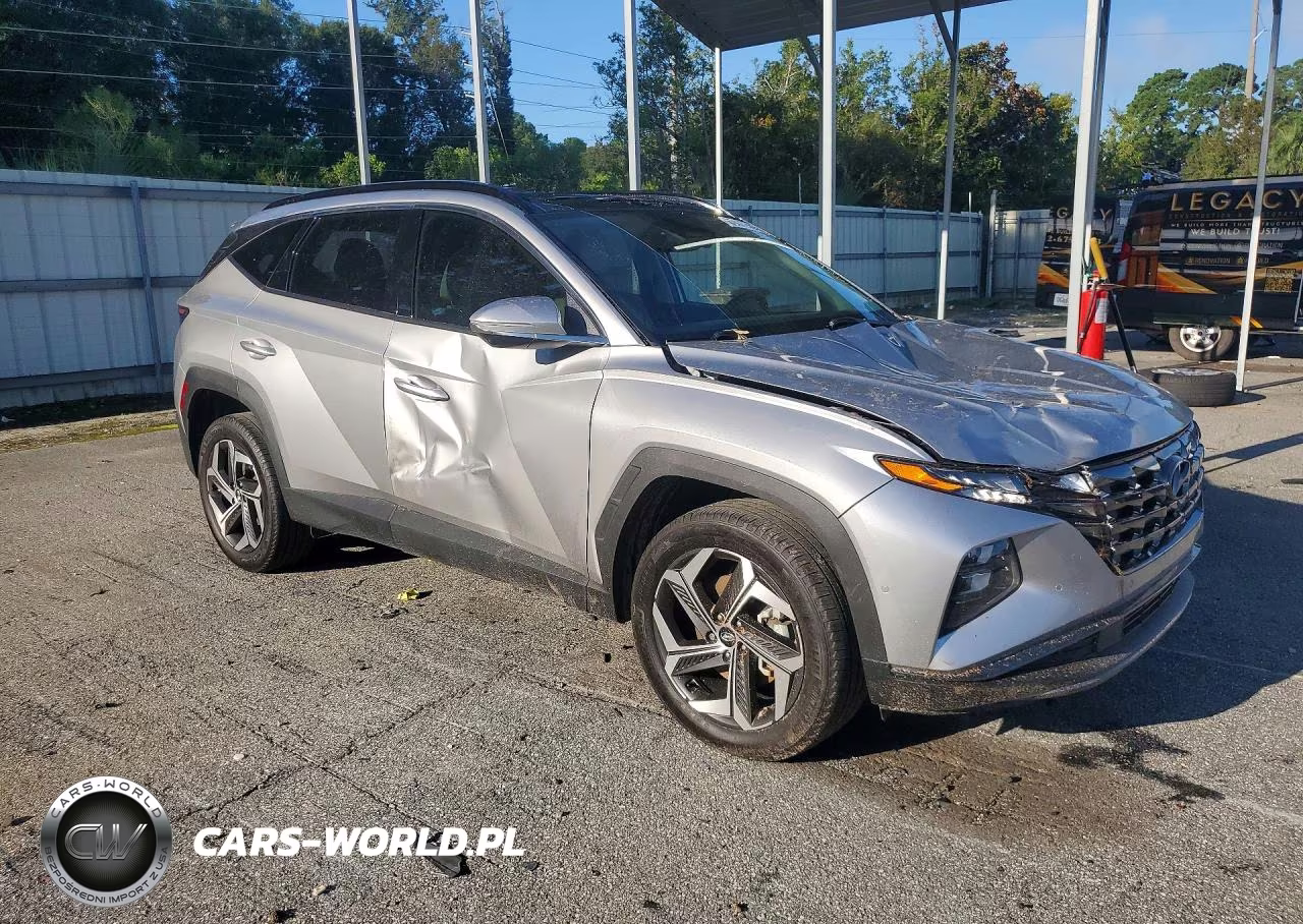 2024 Hyundai Tucson Limited VIN:5NMJECDE6RH300121 - 4