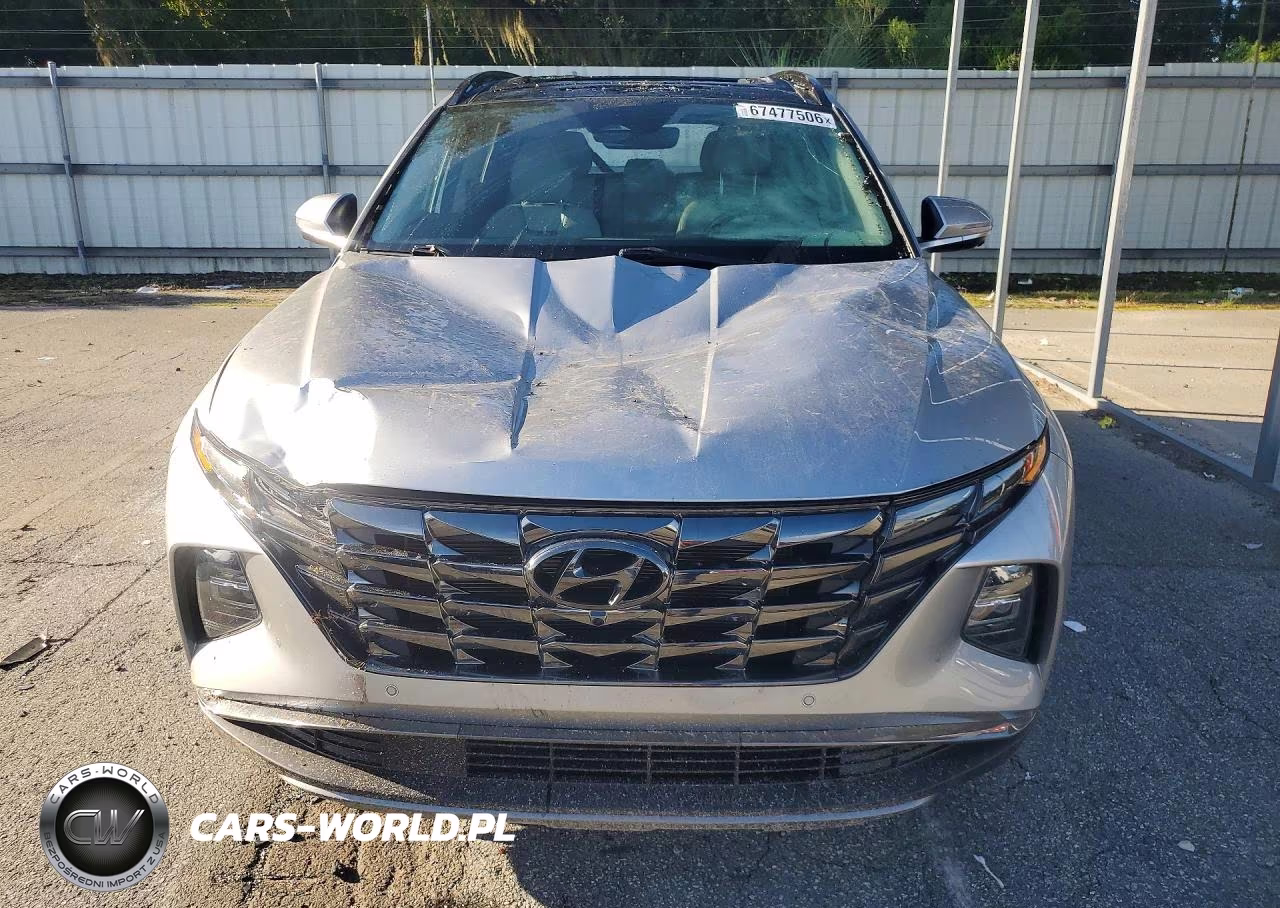 2024 Hyundai Tucson Limited VIN:5NMJECDE6RH300121 - 5