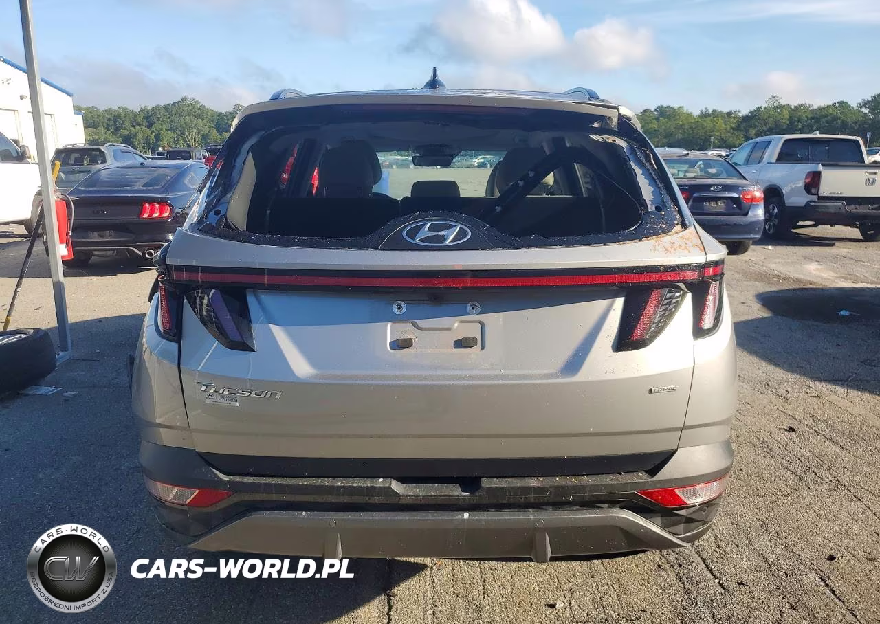 2024 Hyundai Tucson Limited VIN:5NMJECDE6RH300121 - 6