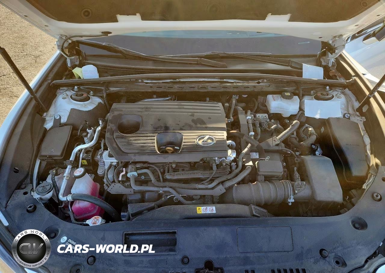 2025 Lexus Es 300H Luxury VIN:58AEA1C11SU054615 - 11