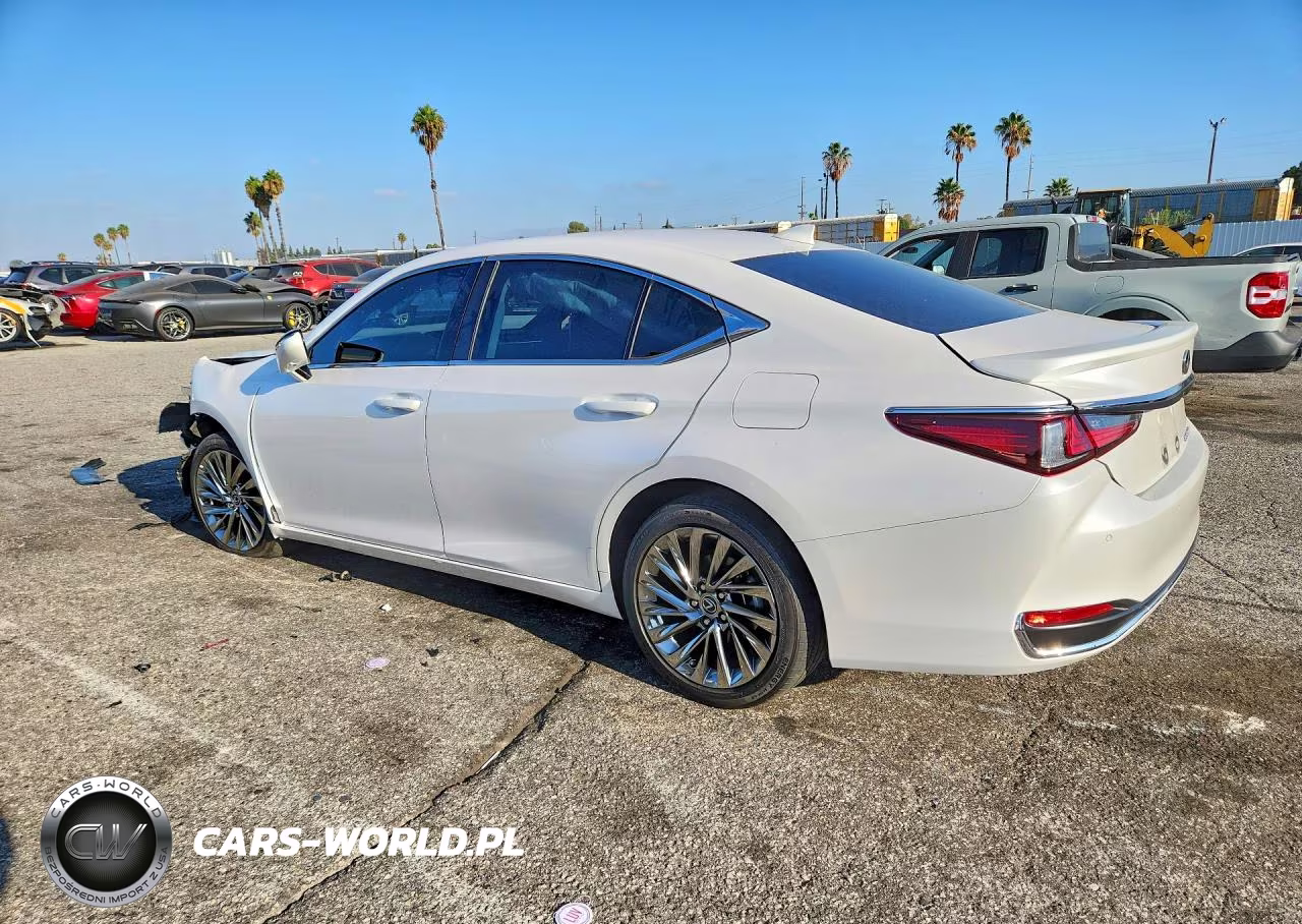 2025 Lexus Es 300H Luxury VIN:58AEA1C11SU054615 - 2